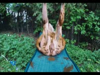 Scat Fetish Porn Film – Pale teen with thick thighs sunbathes while rubbing poop
